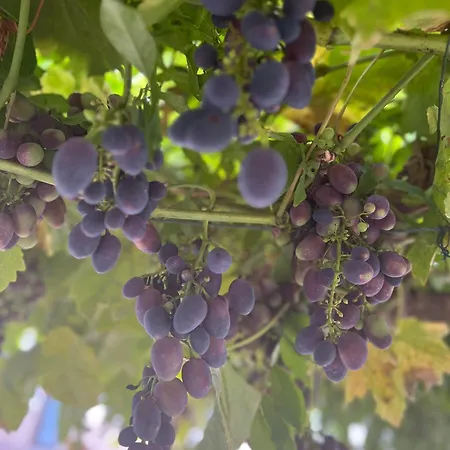 Casa Teddy Torino Σπίτι διακοπών