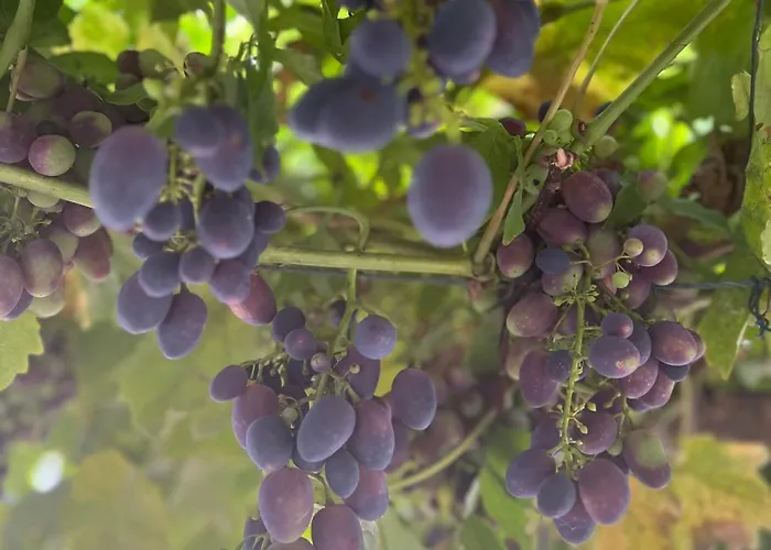 Casa Teddy Torino Casa de Férias